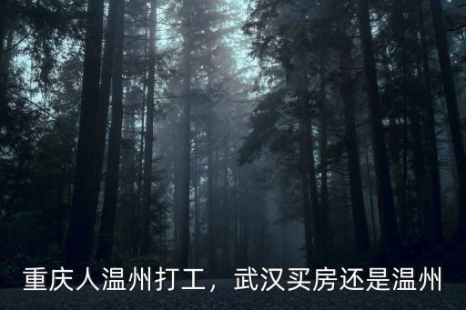 重慶人溫州打工，武漢買房還是溫州