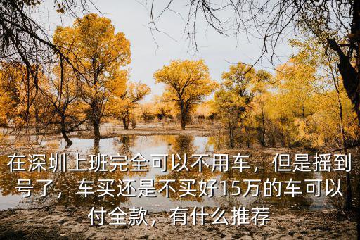 在深圳上班完全可以不用車，但是搖到號了，車買還是不買好15萬的車可以付全款，有什么推薦