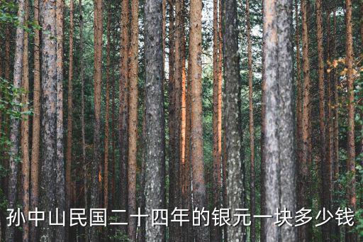 孫中山銀元市值多少,孫中山的開國紀念銀元