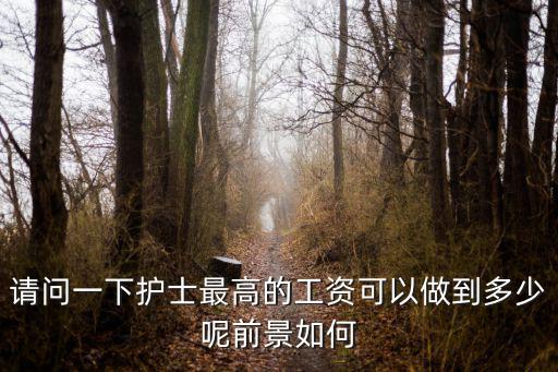 請問一下護士最高的工資可以做到多少呢前景如何