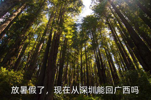 放暑假了，現在從深圳能回廣西嗎