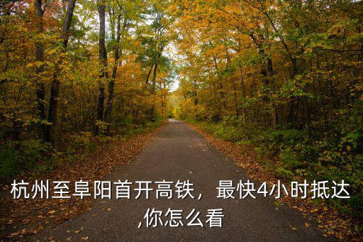 鄭阜高鐵阜陽到杭州多少錢,杭州至阜陽首開高鐵