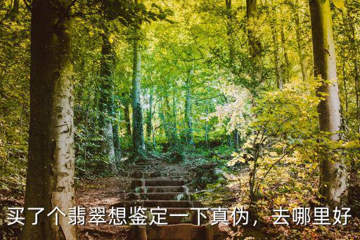 買了個翡翠想鑒定一下真偽，去哪里好