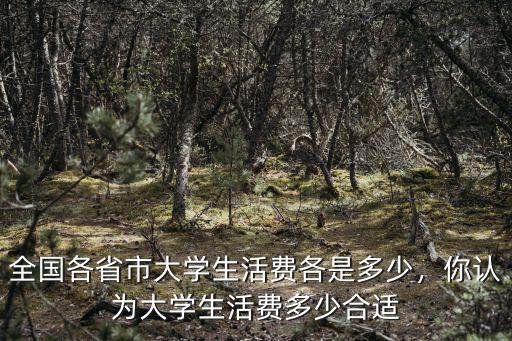 全國(guó)各省市大學(xué)生活費(fèi)各是多少，你認(rèn)為大學(xué)生活費(fèi)多少合適