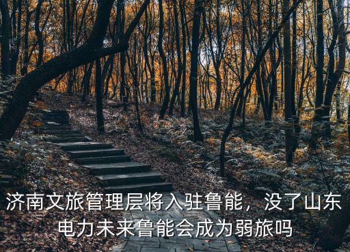 濟南文旅管理層將入駐魯能，沒了山東電力未來魯能會成為弱旅嗎