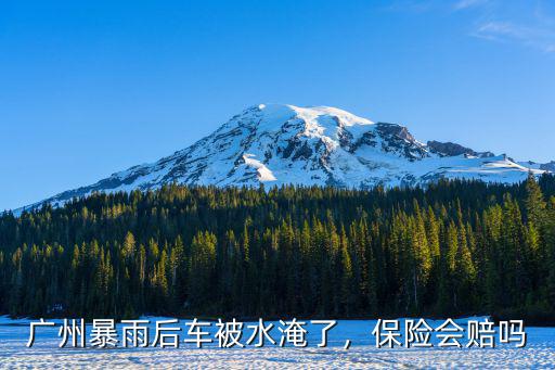 廣州暴雨后車(chē)被水淹了，保險(xiǎn)會(huì)賠嗎