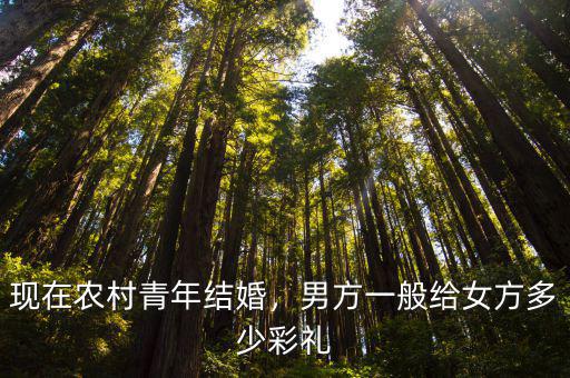 湖州結婚男方給女方多少禮金,男方一般給女方多少彩禮