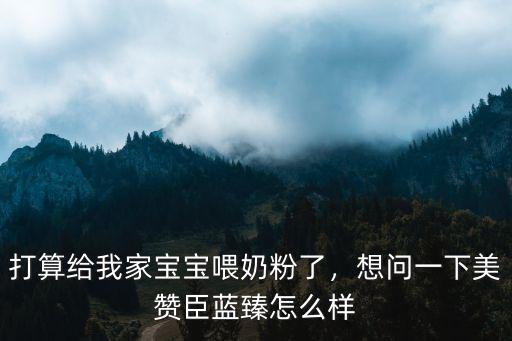 惠州美贊臣奶粉怎么樣,想問一下美贊臣藍(lán)臻怎么樣