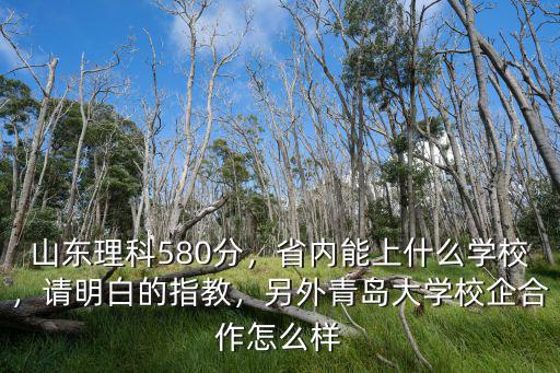 山東大學校企合作多少分,另外青島大學校企合作怎么樣