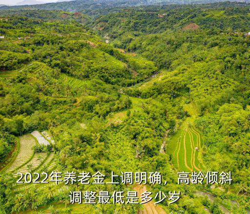 浙江的養老金最低是多少,高齡傾斜調整最低是多少歲