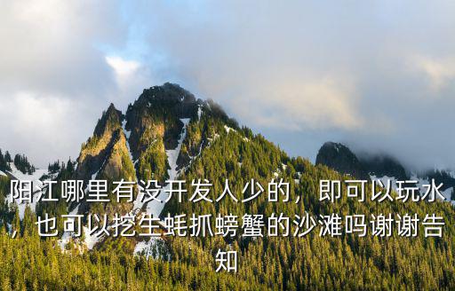 陽江哪里有海里游泳的,廣東陽江有哪些海灘不用錢的