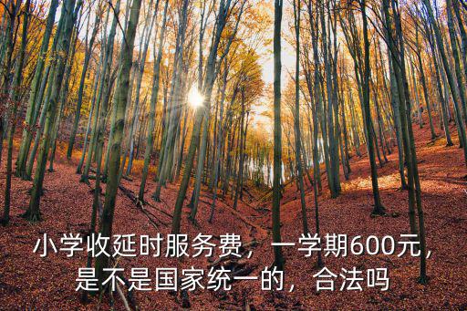 山東小學課后服務費一學期多少,小學收延時服務費
