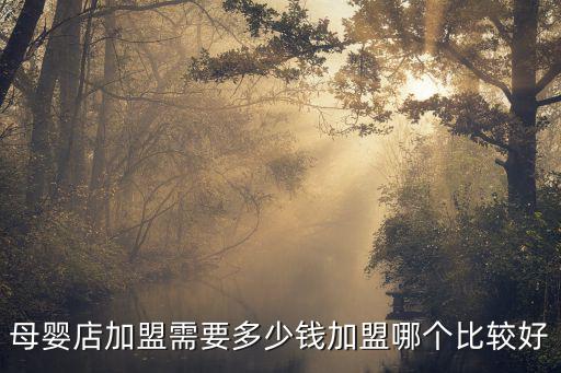 中山母嬰店加盟多少錢,母嬰店加盟需要多少錢