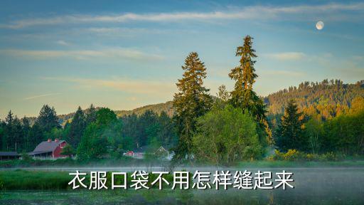 中山服口袋怎么縫,衣服口袋不用怎樣縫起來