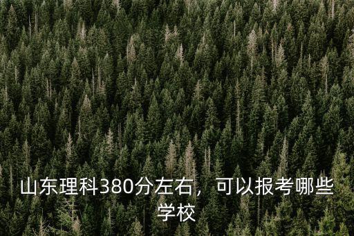 山東理科380分左右，可以報考哪些學(xué)校