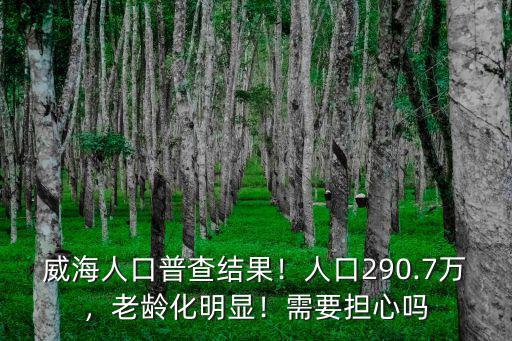 威海西山口人口多少,人口290.7萬(wàn)