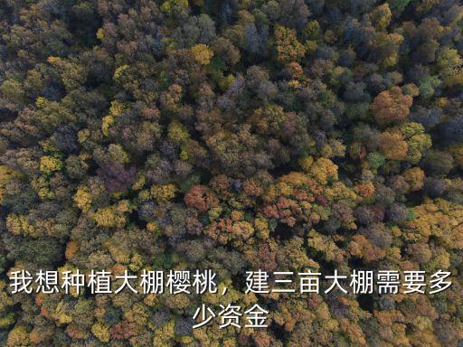 煙臺市櫻桃大棚有多少,我想種植大棚櫻桃