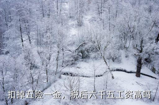 深圳6500稅后工資到手多少,在深圳月薪稅后6500