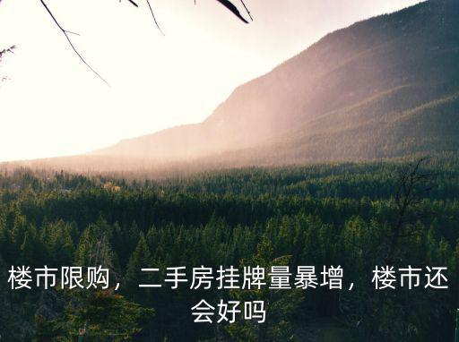 樓市限購，二手房掛牌量暴增，樓市還會好嗎