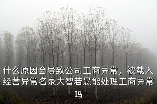 什么原因會導致公司工商異常，被載入經營異常名錄大智若愚能處理工商異常嗎