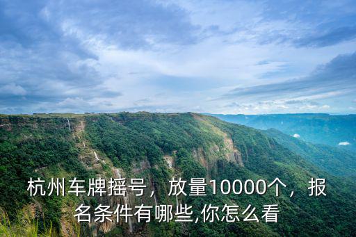 4月杭州車牌競價有多少報名,報名條件有哪些