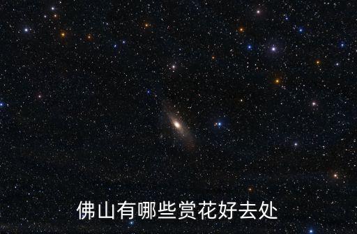 佛山有哪些賞花好去處