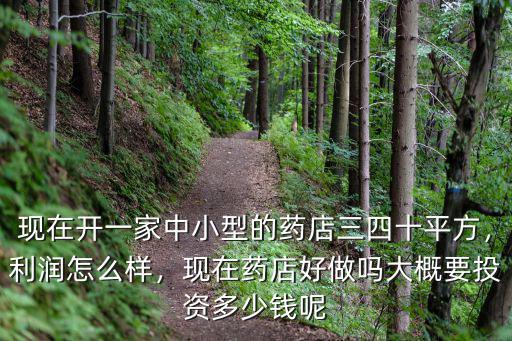 廣東藥店要多少平方,大概要投資多少錢呢
