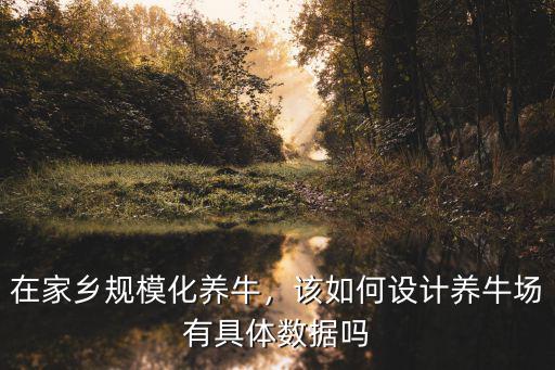 在家鄉規模化養牛，該如何設計養牛場有具體數據嗎