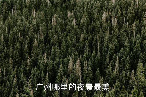廣州哪里有資源論壇,廣州哪里的夜景最美