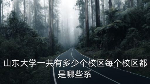 山東大學一共有多少個校區每個校區都是哪些系