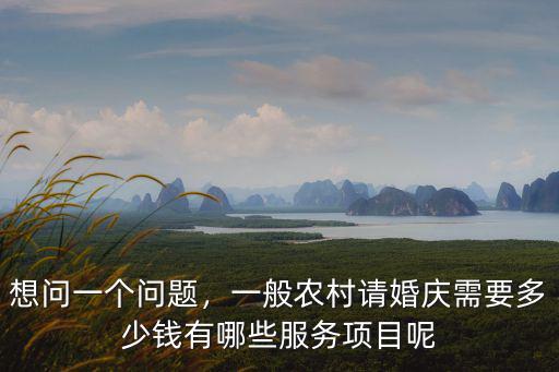 想問一個問題，一般農村請婚慶需要多少錢有哪些服務項目呢
