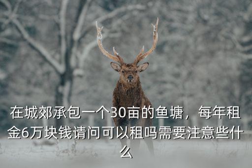 佛山承包魚塘多少錢一畝,我想承包一個魚塘