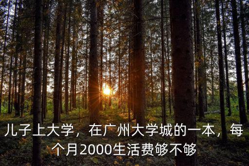 兒子上大學，在廣州大學城的一本，每個月2000生活費夠不夠