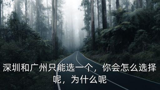 橫琴和廣州怎么選,深圳和廣州只能選一個
