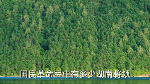浙江有多少國民黨名將,國民革命軍中有多少湖南將領(lǐng)
