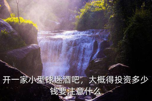 開(kāi)一家小型球迷酒吧，大概得投資多少錢(qián)要注意什么
