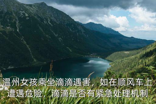 滴滴溫州女孩遇害賠償多少,溫州女孩乘坐滴滴遇害