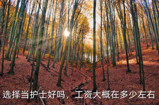 選擇當護士好嗎，工資大概在多少左右