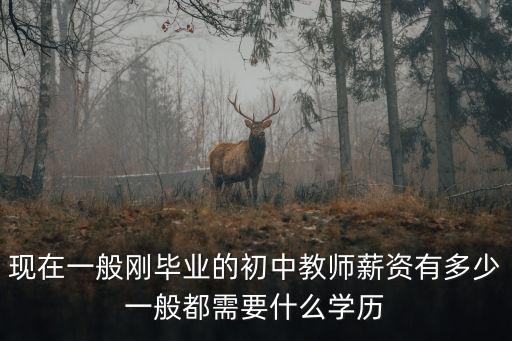 日照的老師工資多少,日照莒縣教師工資水平如何