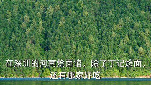 深圳哪里有正宗河南水煎包,河南哪里的水煎包有名氣
