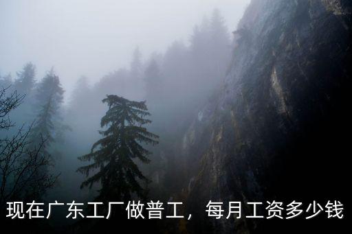 在廣東做普工哪里工資高,在廣東什么工廠月薪比較高