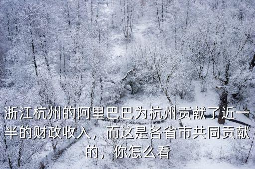 浙江杭州的阿里巴巴為杭州貢獻(xiàn)了近一半的財(cái)政收入，而這是各省市共同貢獻(xiàn)的，你怎么看