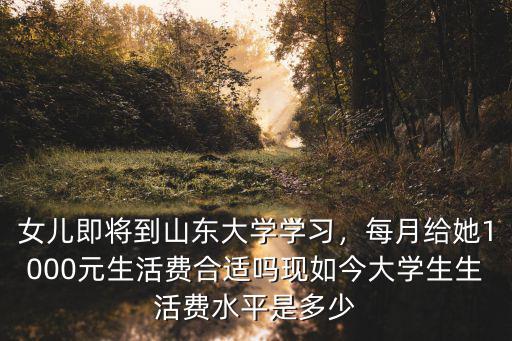 女兒即將到山東大學學習，每月給她1000元生活費合適嗎現(xiàn)如今大學生生活費水平是多少