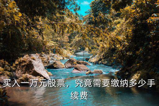 買入深圳股票一萬元要多少手續(xù)費,買入一萬元股票
