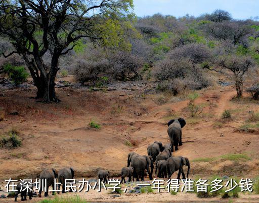 在深圳上民辦小學，一年得準備多少錢