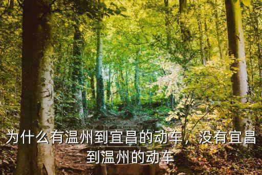 宜昌東站到溫州火車票多少錢,為什么有溫州到宜昌的動車
