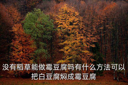 沒有稻草能做霉豆腐嗎有什么方法可以把白豆腐燜成霉豆腐