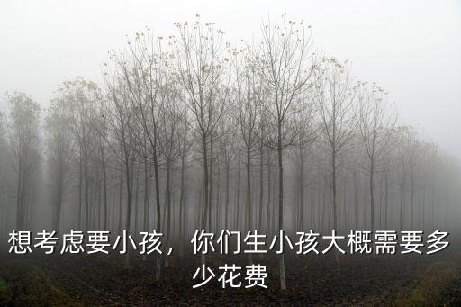 麗水松陽生小孩要多少錢,想考慮要小孩