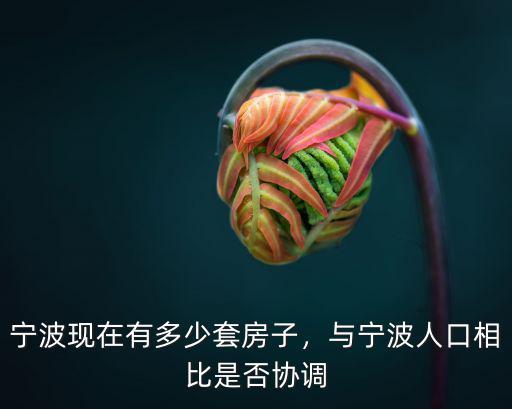 寧波是多少人口,寧波現在有多少套房子