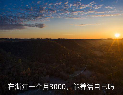 在浙江一個(gè)月3000，能養(yǎng)活自己?jiǎn)? class=